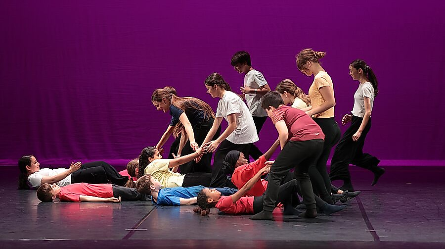 Vielfalt in Bewegung
                                - step by step – Tanzprojekte mit Hamburger Schulen