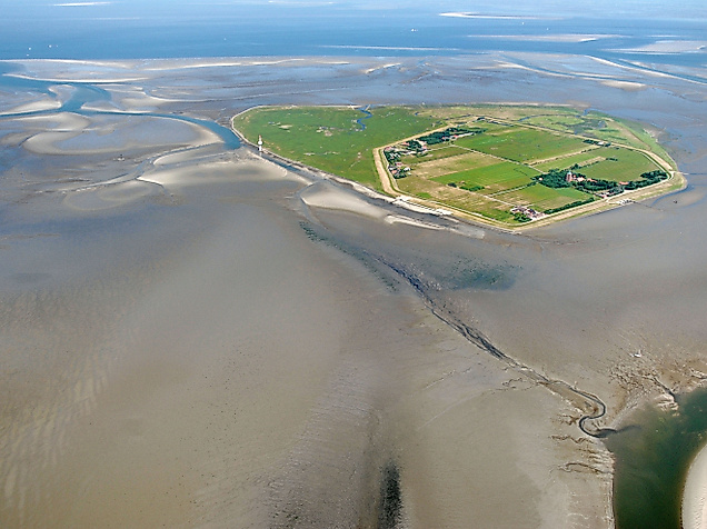 wattenmeer_neuwerk_c-2012-bernd-schluesselburg
