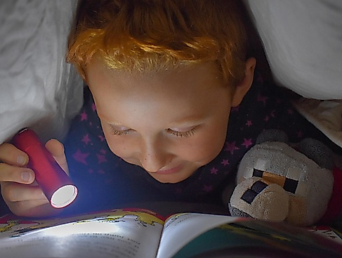 reading-5069826_640