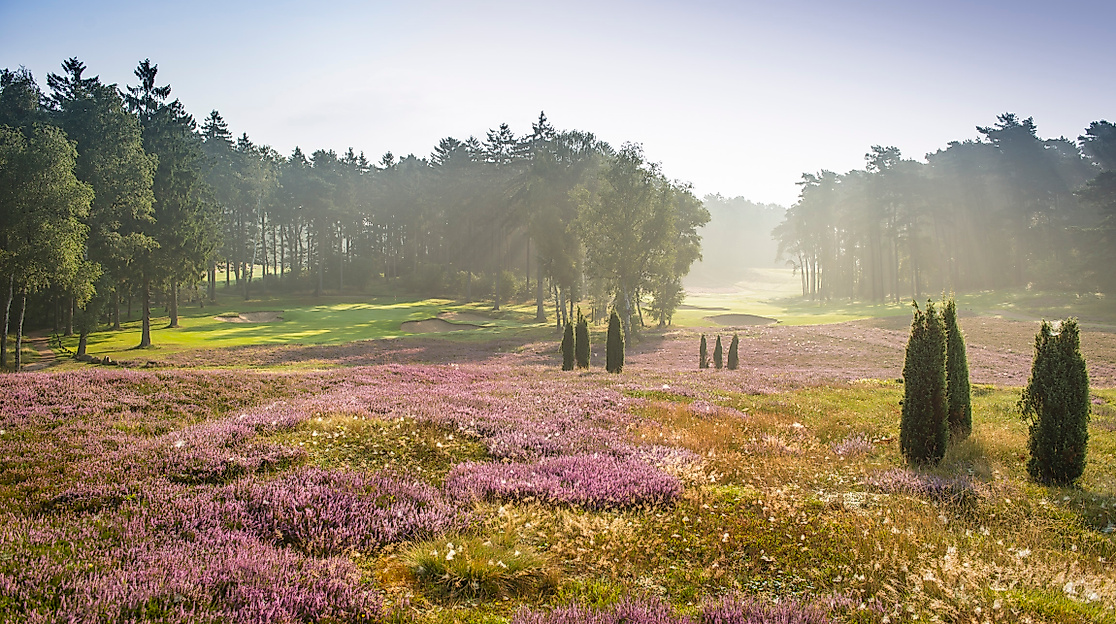 hamburger-golf-club-falkenstein_platz_c-hamburger-golf-club-ev_03