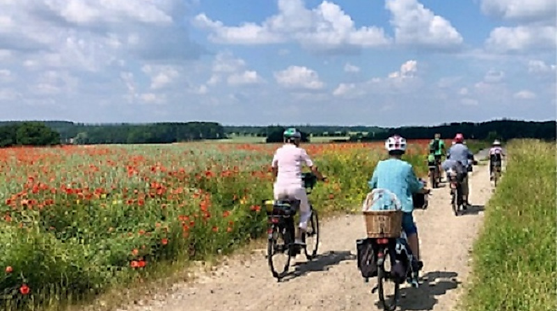 Geführte Fahrradtour rund um den Klosterflecken Ebstorf