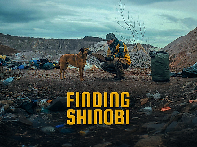 Finding-Shinobi1