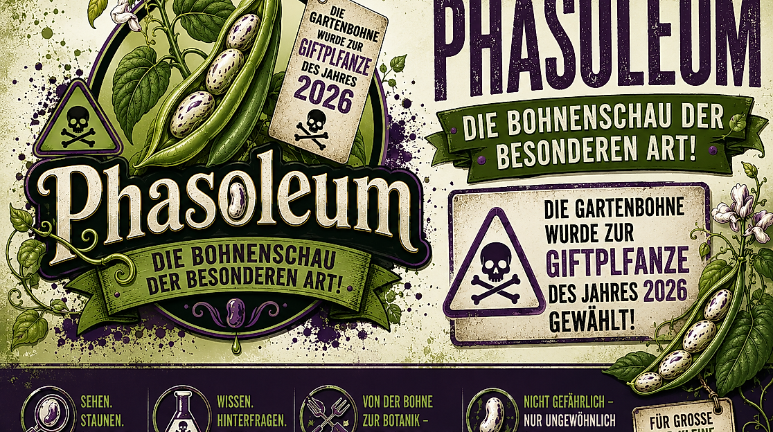 Phasoleum