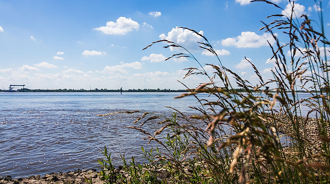 Elbstrand Hamburg