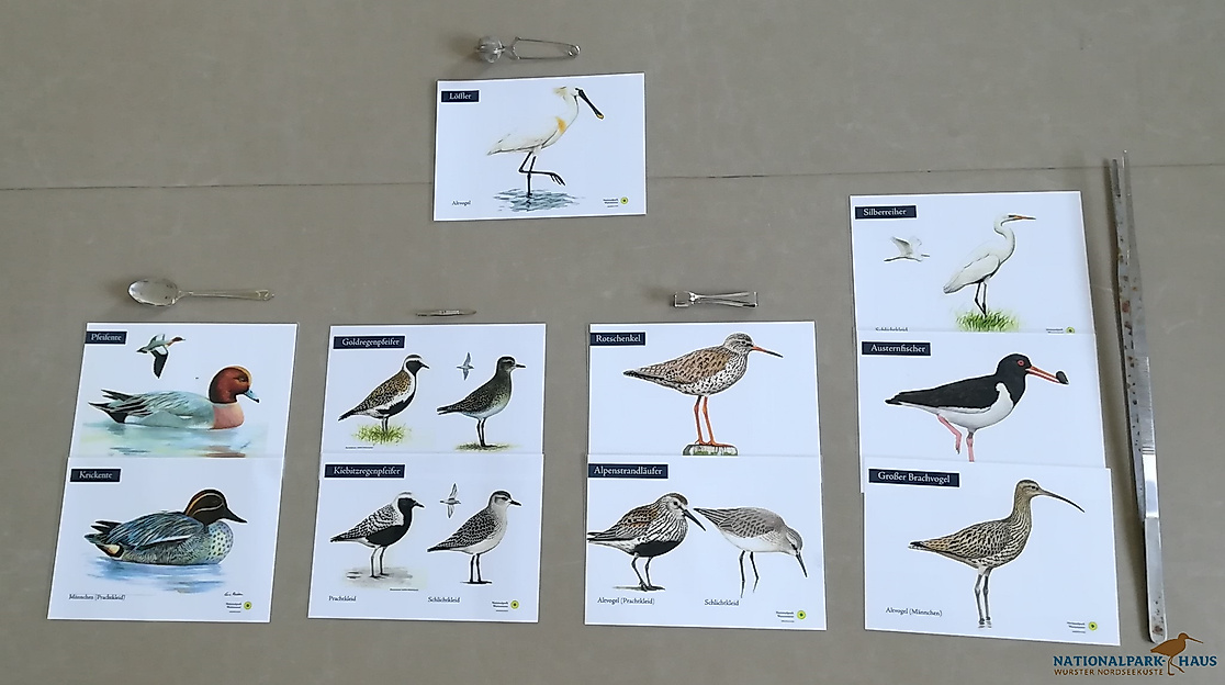 Familienevent: Warum ziehen und nicht chillen?