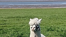Hauptbild