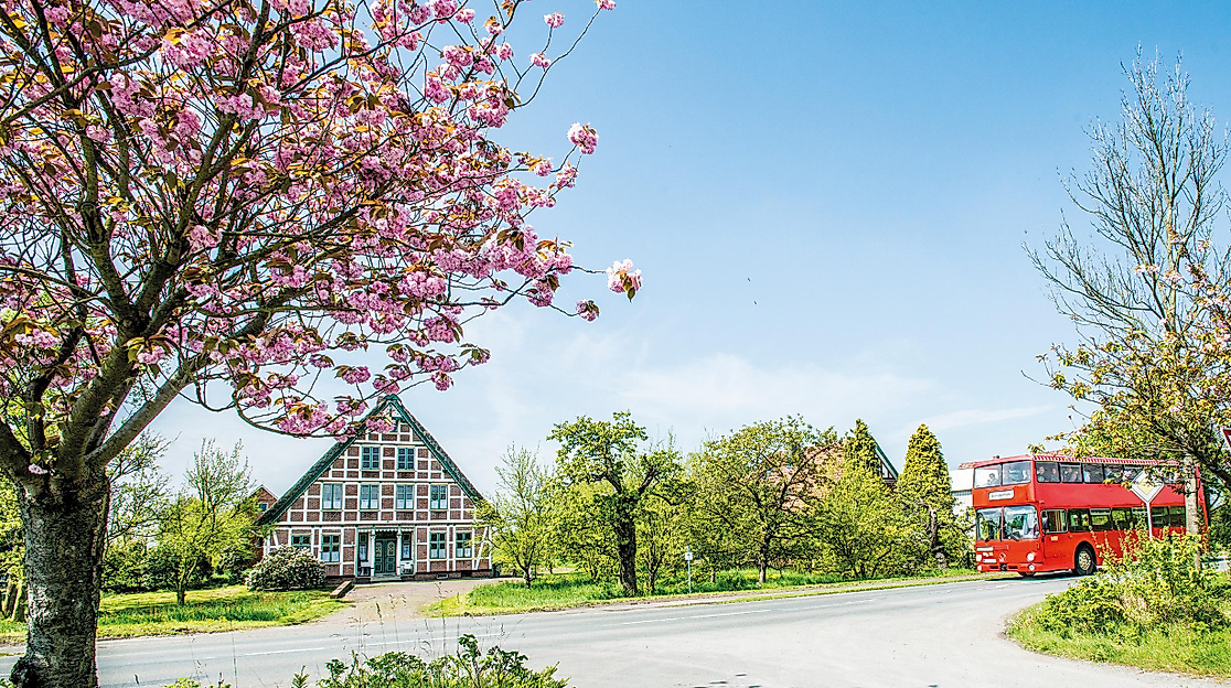 Altländer Blütentour mit Gästeführer/in in Tracht