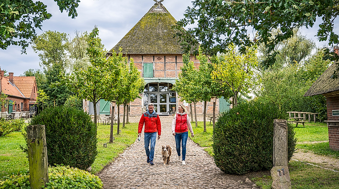 5. Pflanzentauschbörse