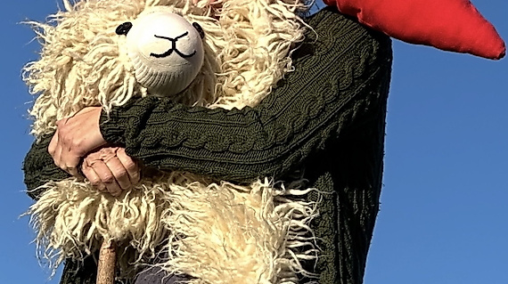 Wenn das Schaf nicht schläft
