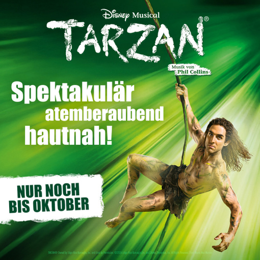 Reisepaket: Disneys Musical TARZAN