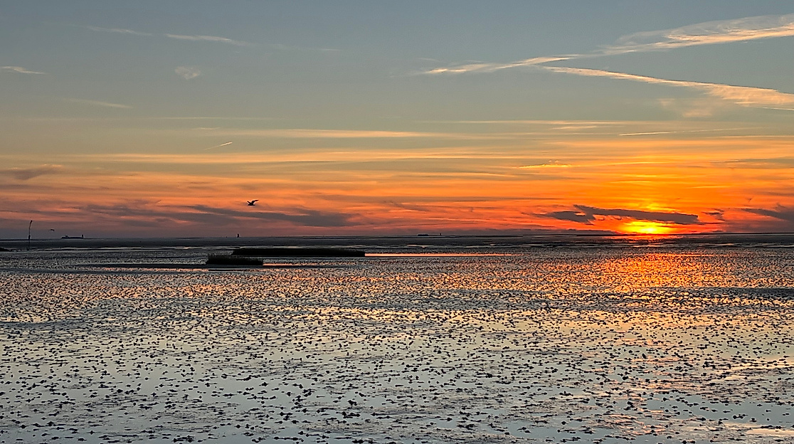 Abendwattwanderung