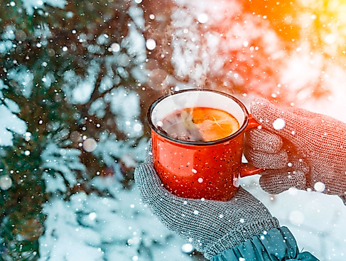 Teerunde unzter Bäumen im Winterwald genießen