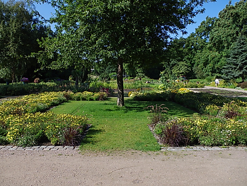 Sommerblumenbeet im Botanischen Sondergarten