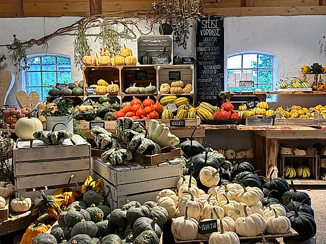 Hofladen-Kürbishof-Kruse-C-kuerbiskruseIMG_3558
