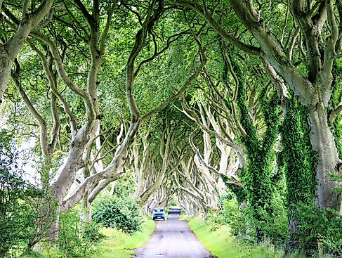 Oliver Lück Aufmacher