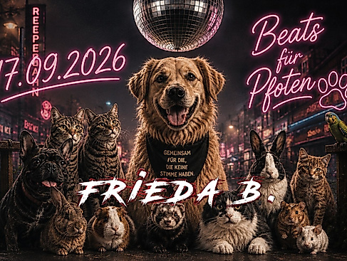 beats-fur-pfoten