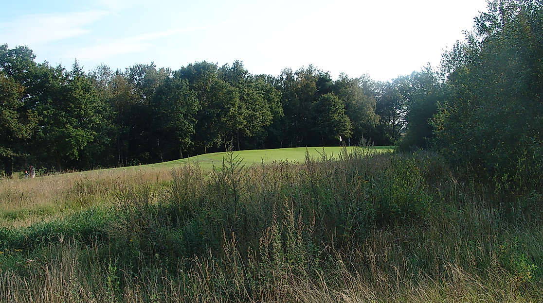 golfclub-lutzhorn_c-golfclub-lutzhorn-ev-4