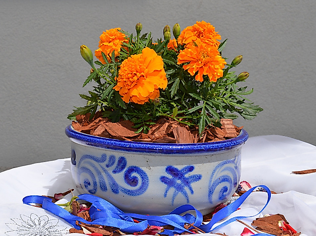 searamica_earthenware-1475480_1920_c-bild-von-marisa04-auf-pixabay