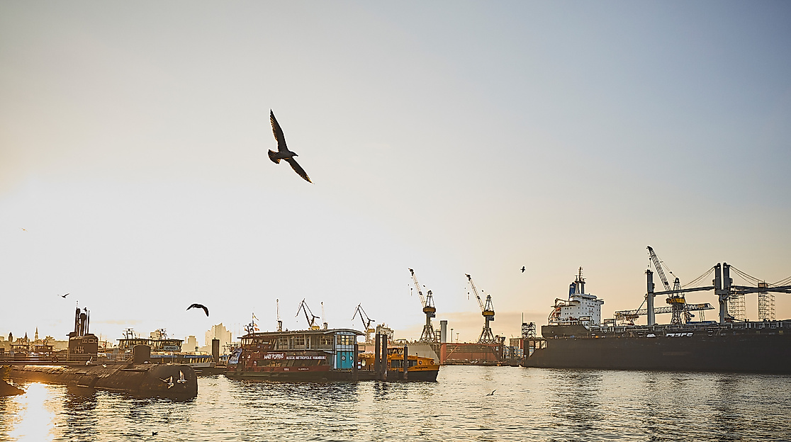 Sonnenaufgang im Hamburger Hafen mit Möwe im Flug, Schiffen und Hafenkränen im Gegenlicht