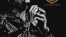 Elvis Tribute Artist - Jonny Henning