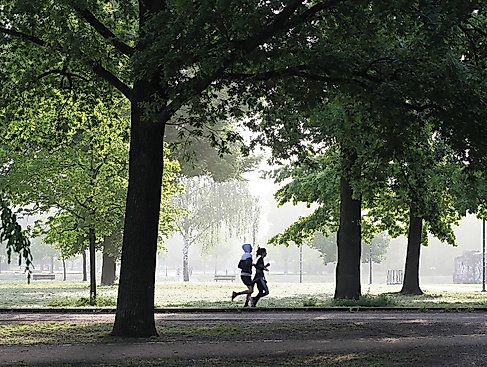 Königshof parkrun Sittensen