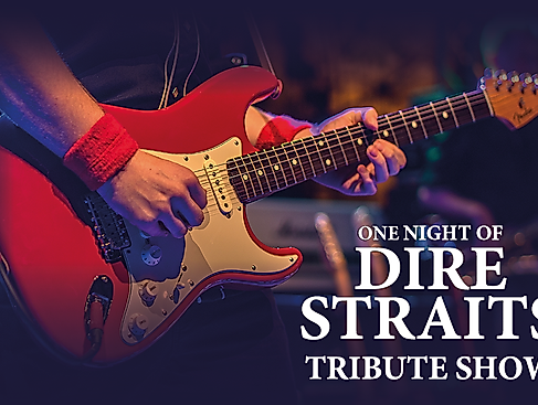 One Night of Dire Straits - Tribute Show