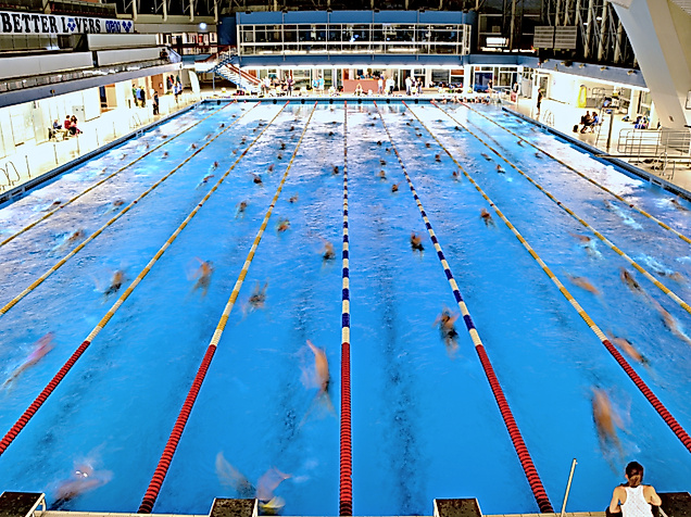 Großes Schwimmbecken mit mehreren Bahnen, in dem zahlreiche Personen gleichzeitig trainieren