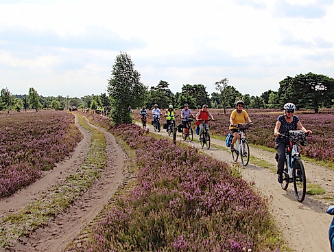 Tagestour durch die Heide