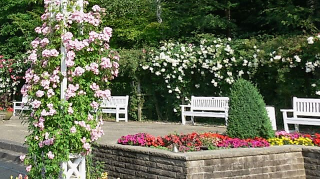 Blick auf die Bühne des Rosengarten