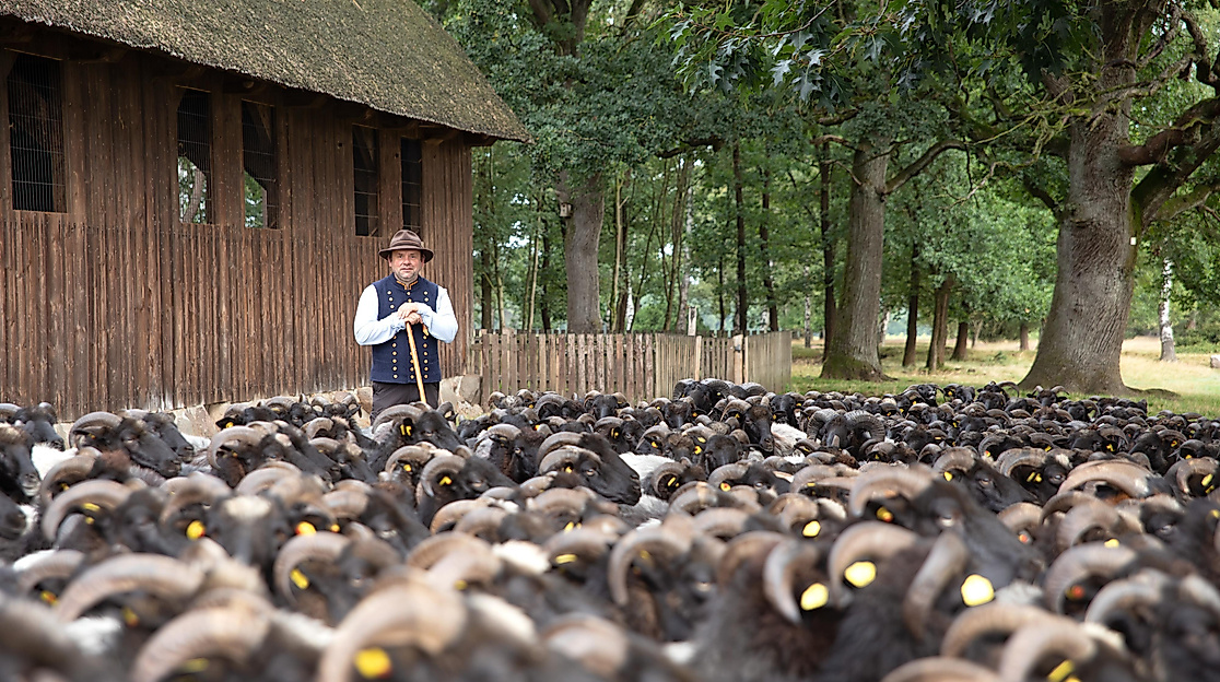 Großes tierisches Osterquiz