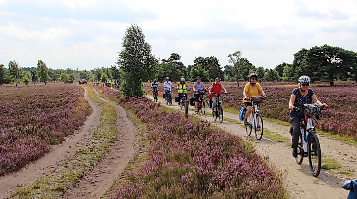 Tagestour durch die Heide
