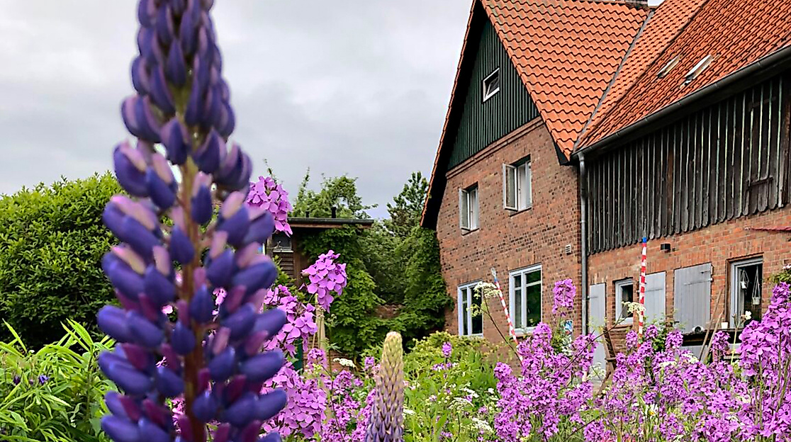 Stimmung-im-beimoorhof_quer_julia-pasinski