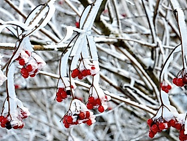 1. Advent Gottesdienst für Kleine + Große mit der Kita Iserbrook