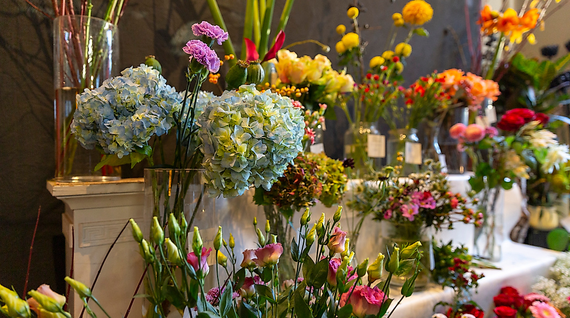 saint-paulia_st-pauli-hafen-reeperbahn_c-2018-timo-sommer-lee-maas-2