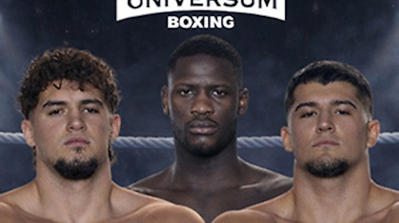 Hauptkämpfe: Ismet Ademi und Endrit Ademi