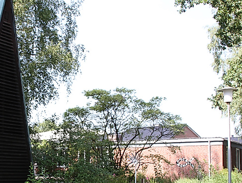 Vicelin-Schalom