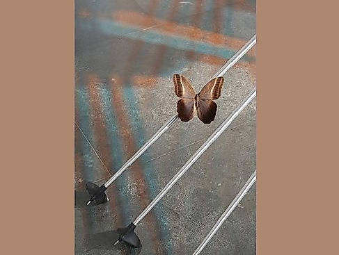 26-12-06 Saskia Senge Saskia Senge