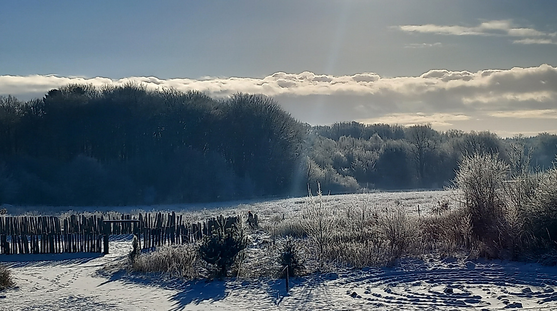 Führungen im Winter