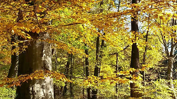 20161031_100511