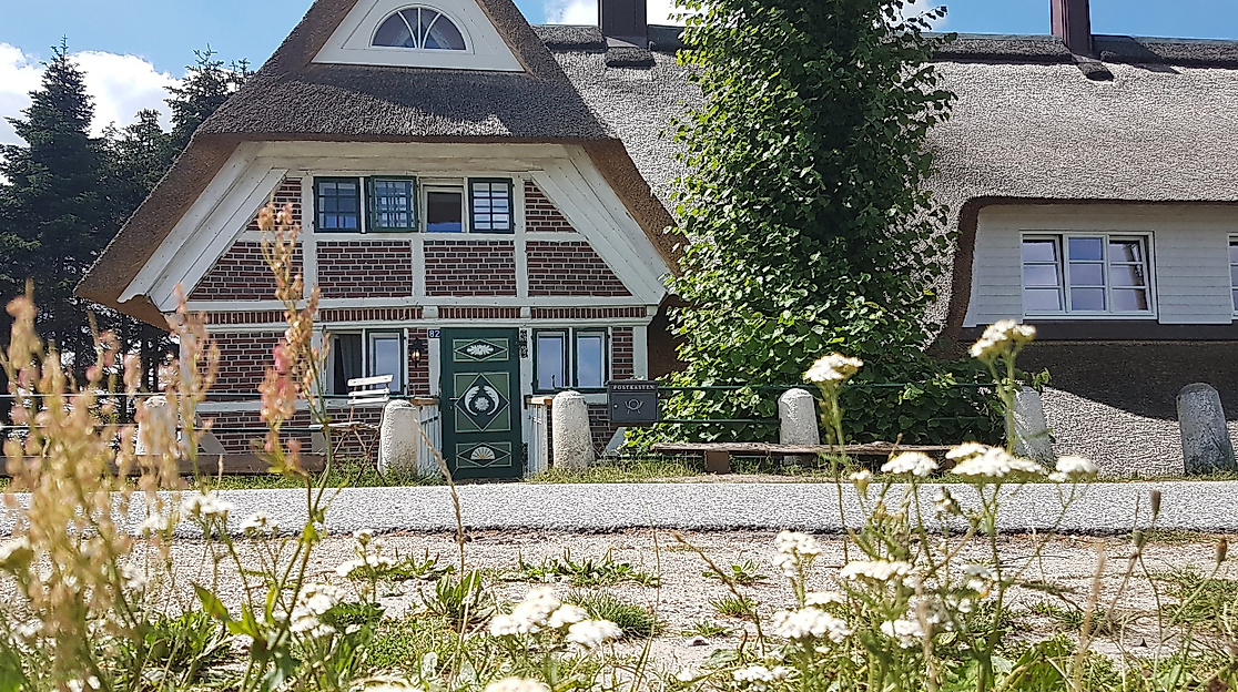 Haus Anna Elbe View from Outside