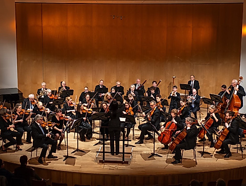 Hamburger Juristenorchester