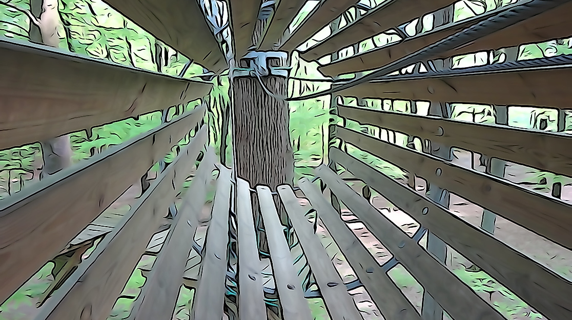 kletterwald-sachsenwald_c-schnurstracks-sachsenwald-5