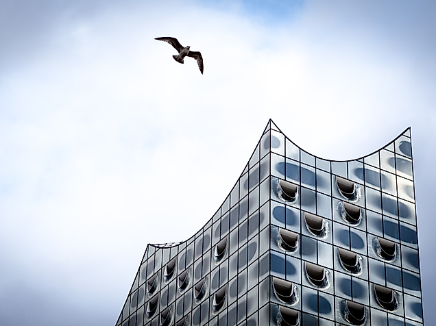 Spitze der Elbphilharmonie Hamburg vor bewölktem Himmel mit fliegender Möwe im Bild