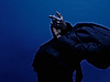 A performer is seen from the side, leaning forward, a black hoodie pulled over their head. Their hands are behind their back and stretched out.