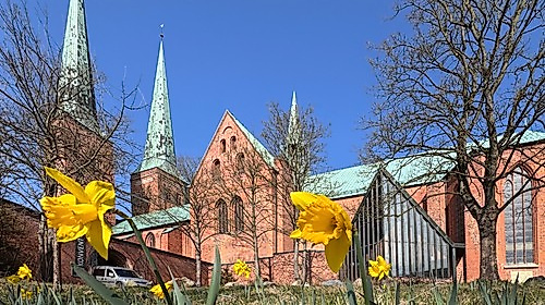„Offener Kreis am Dom"