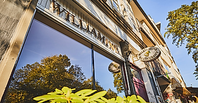 williamine_c-2018-thisisjulia-photography-2