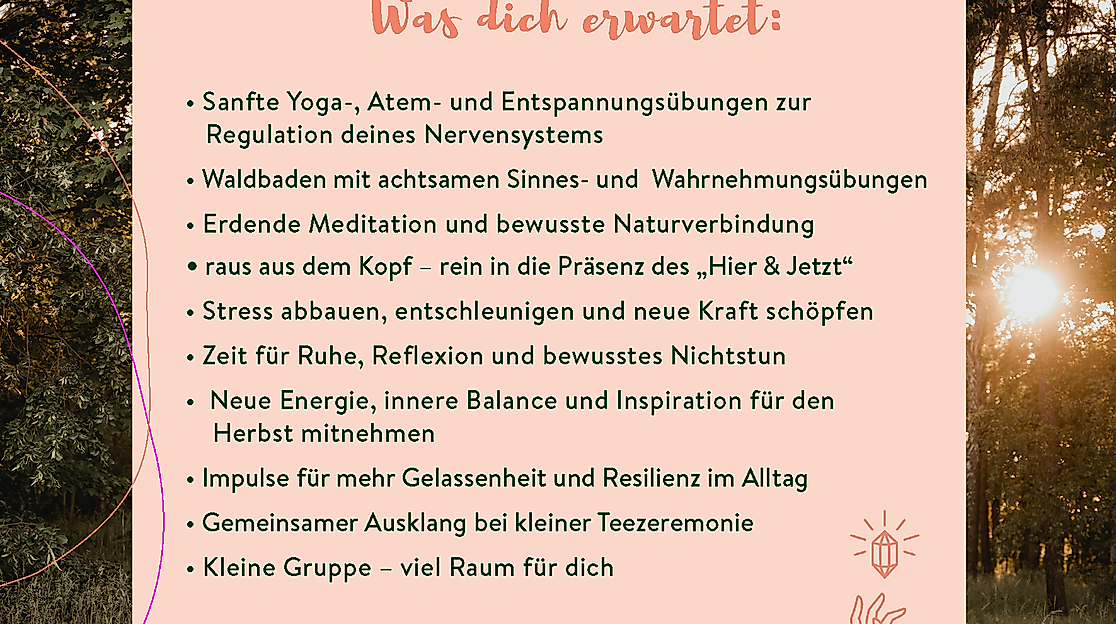 Das erwartet dich bei Forest Flow