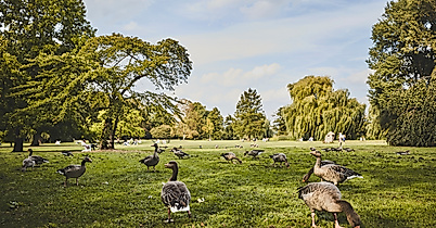 aussenalster_detail_gaense_c-2018-thisisjulia-photography-1