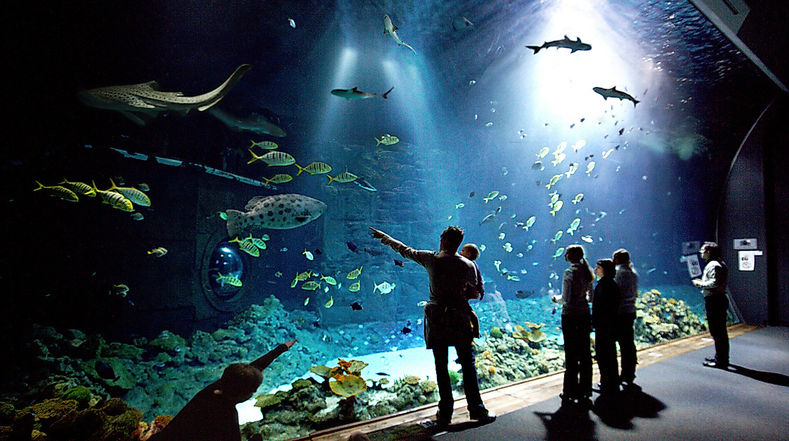 Tropical Aquarium Hagenbeck
