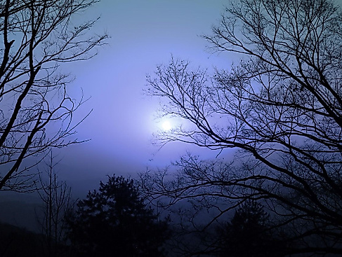 Vollmond-Wanderung am Ahlenmoor